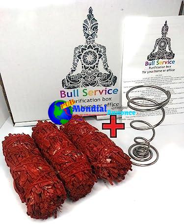 Bull Service – 3 Smudge Sauge Blanche avec Résine de Sang de Dragon + Brûleur Spirale en Acier – Qualité 100% Californienne