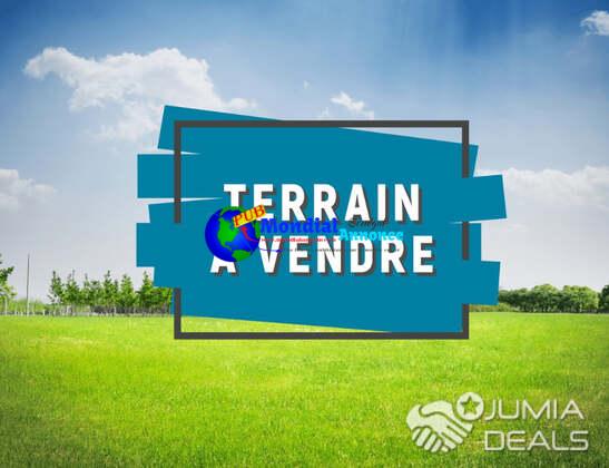 Terrain à vendre à Falokh (mbour)  | Mbour