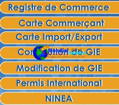 Registre de commerce/ Carte import Export / Ninéa