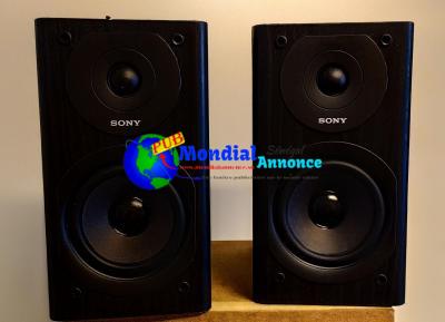 Monitors SONY SS-SBT300