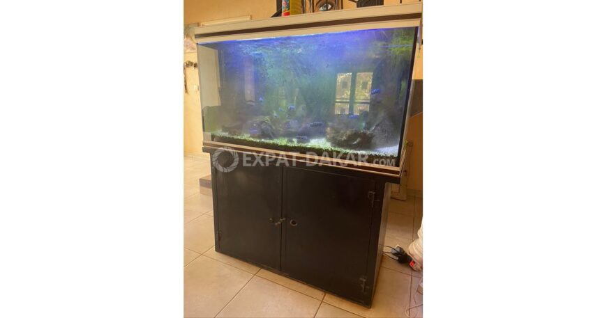 Aquarium 75x120x50 avec meuble