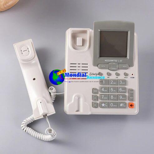 Corded Landline Phone DTMF/FSK Two-line OperateMute/ LCD Display/Pause/Hold/Flash/Redial/Hands Free/Calculator Telephone