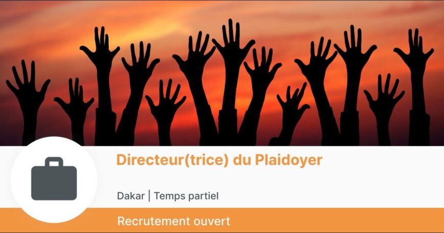 Directeur(trice) du Plaidoyer