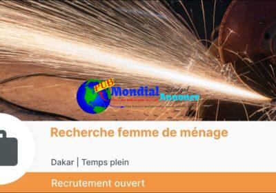 recherche-femme-de-menage.jpg