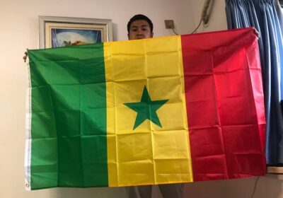 skyflag-Senegal-flag-90x150cm-3×5-Feet-Super-Poly-football-FLAG-Indoor-Outdoor-Senegal-Polyester-hanging-Flags.jpg