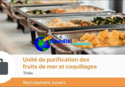 unite-de-purification-des-fruits-de-mer-et-coquillages.jpg