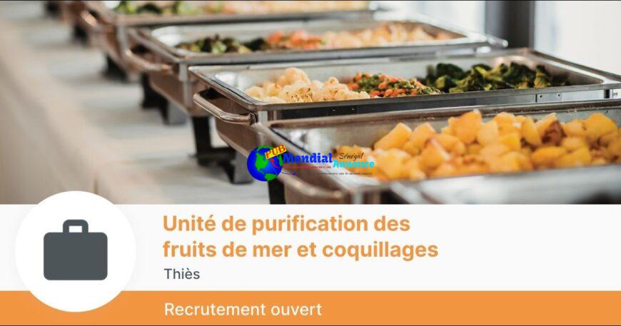 Unité de purification des fruits de mer et coquillages