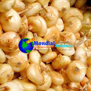 Roasted Cippolini Onions Recipe