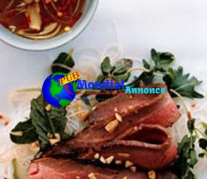 Recettes asiatiques de salade de steak et de nouilles