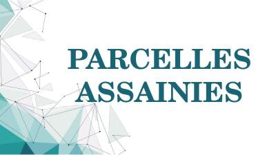 PARCELLES ASSAINIES