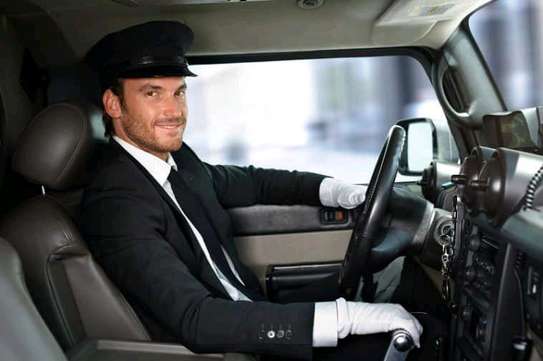 Chauffeur Professionnel