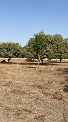 Terrains 225 mètres carrés à vendre à Saly