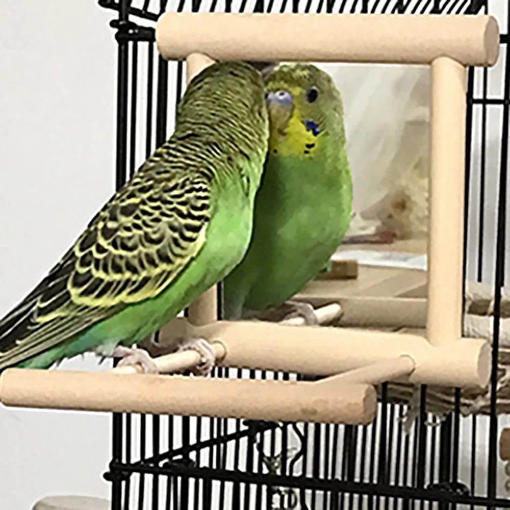 Bird-Mirror-with-Wooden-Perch-Interactive-Hanging-Toy-Game-for-Parrot-Budgie-Parakeet-Cocker-Conure-Finch.jpg