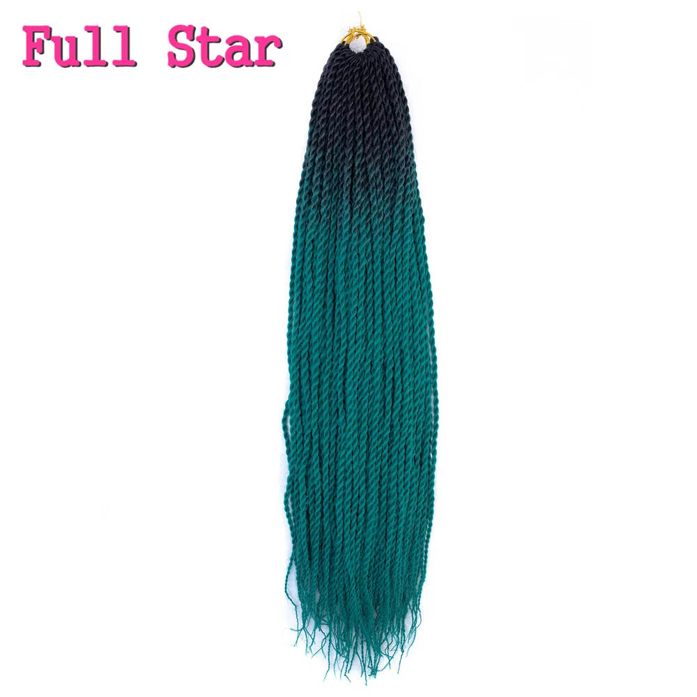 synthetic braids Locs026