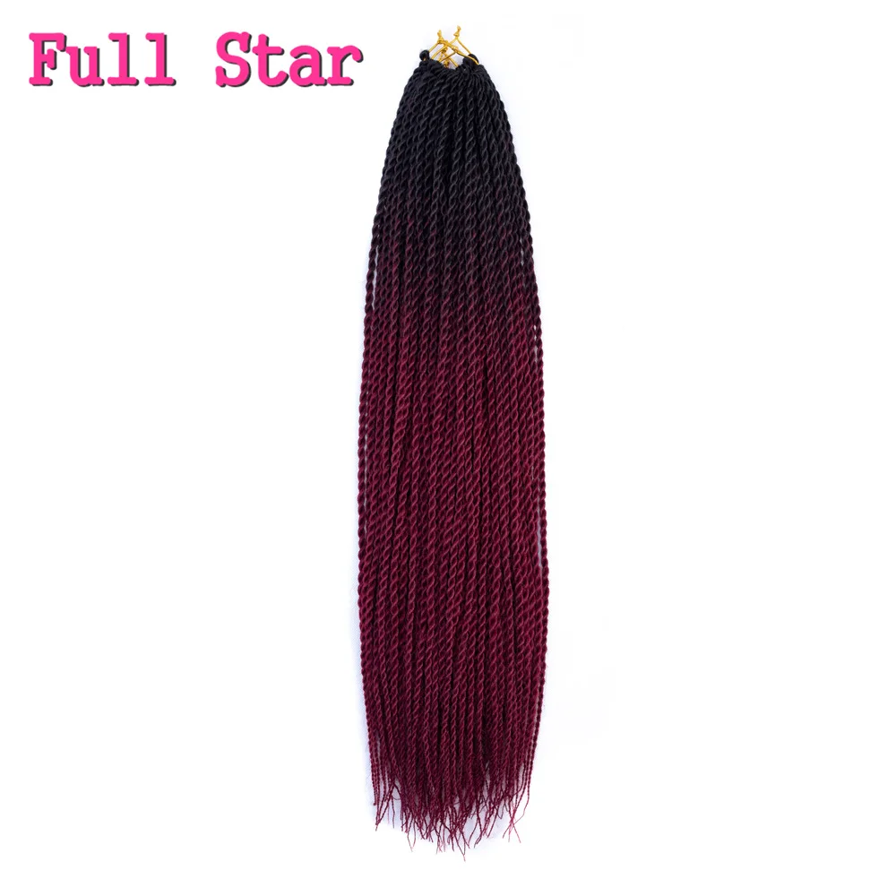 synthetic braids Locs011