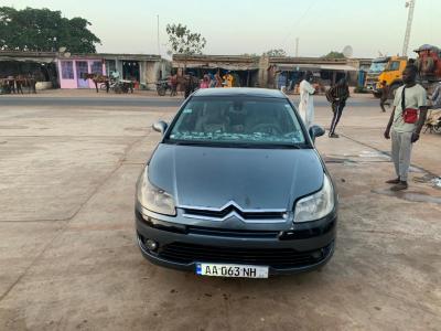 WANTER CITROEN C4 2009