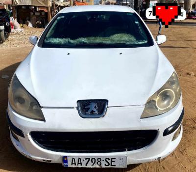 WANTER PEUGEOT 407