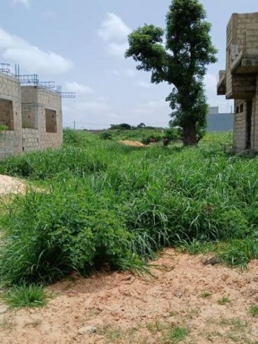 Terrain de 150m2 à keur ndiaye lo