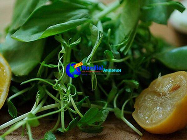 Pea Greens and Sugar Snaps with Preserved Lemon Cream