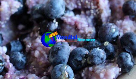 Blueberry Buckwheat Breakfast Bowl