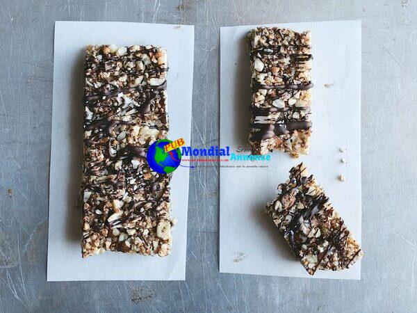 Salted Darkish Chocolate Nut Bars