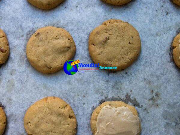 Turtleback Cookies