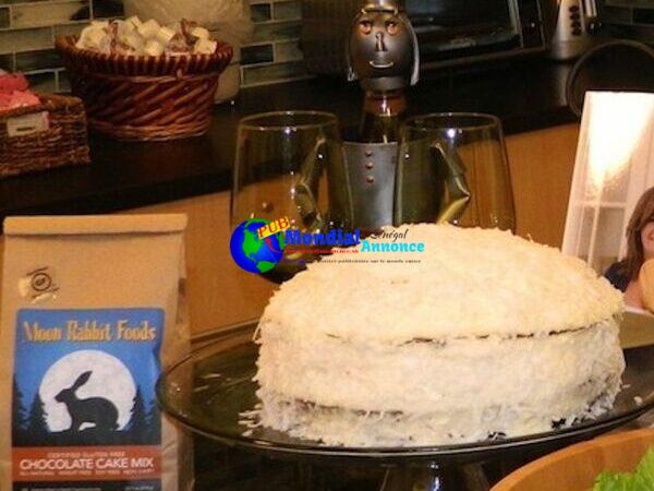 Chocolate Cake with Coconut Cream Frosting