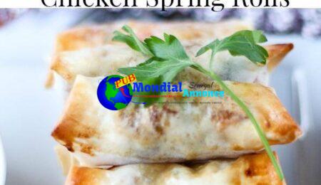 Southwest Loaded Hen Spring Rolls