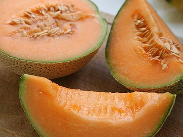 Cantaloupe and Cucumber Ice Pops