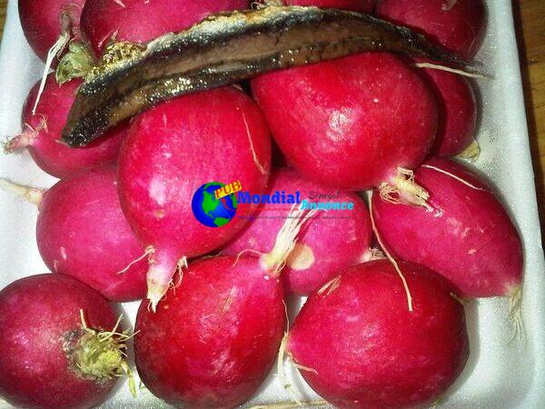 Roasted Radishes Bathed in Anchovy