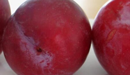 Baked Plums With Cinnamon And Honey