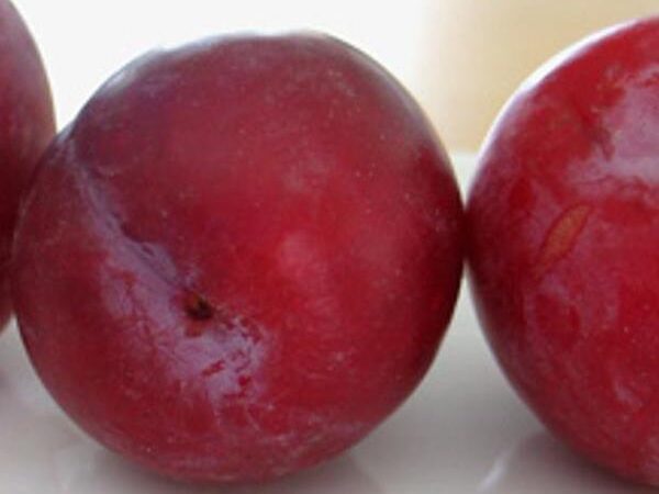 Baked Plums With Cinnamon And Honey