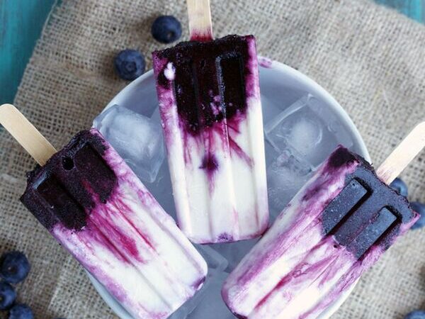 Blueberry Coconut Popsicles