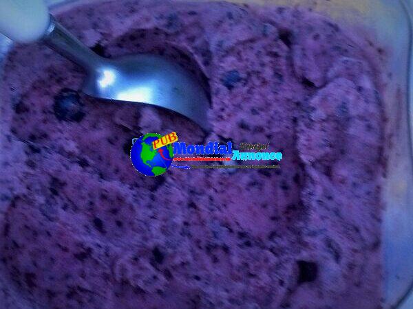 Blueberry-Coconut Sorbet