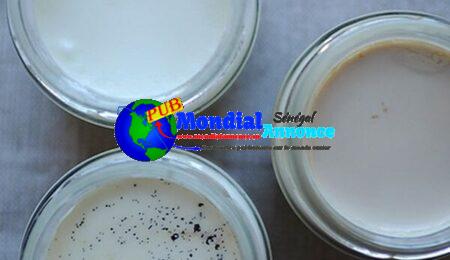 Handmade Yogurt with Salton Yogurt Maker Instructions