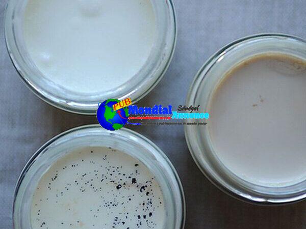 Handmade Yogurt with Salton Yogurt Maker Instructions