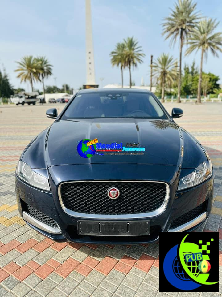 465696669 8574596005981806 8859119404939517462 n