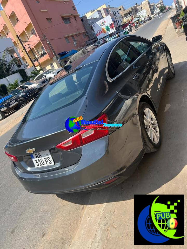 466007293 8577914242316649 8394439881301419378 n