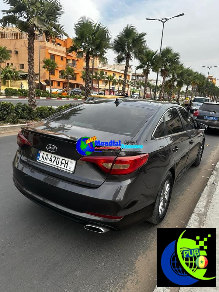 466151692 3946698312269860 1224154483859518929 n